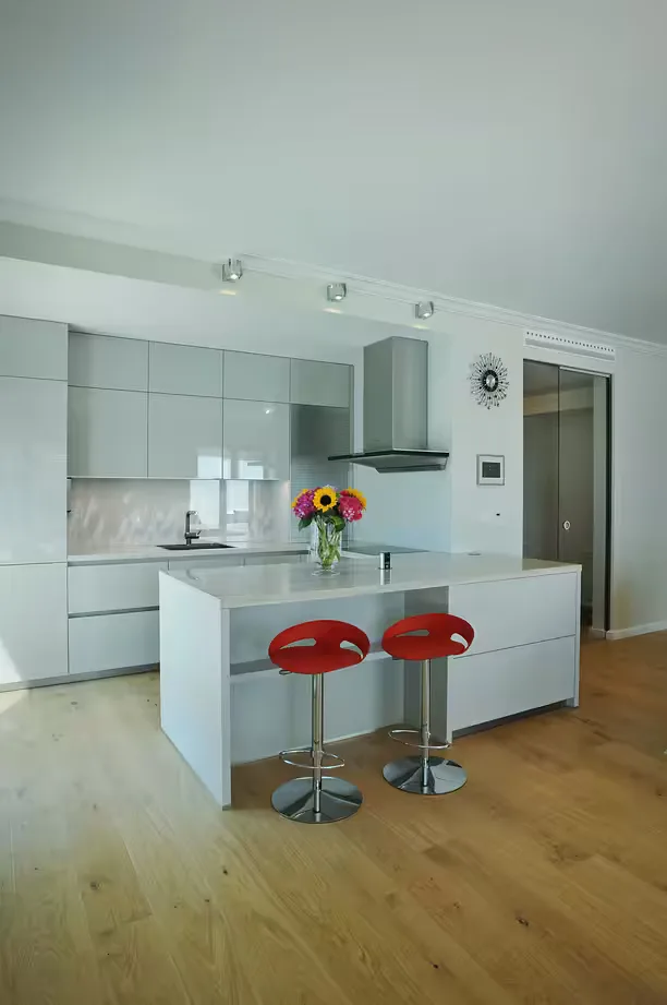 Kitchen Schüller C · Praha 6 - 2016 · high-gloss lacquer — photograph 1
