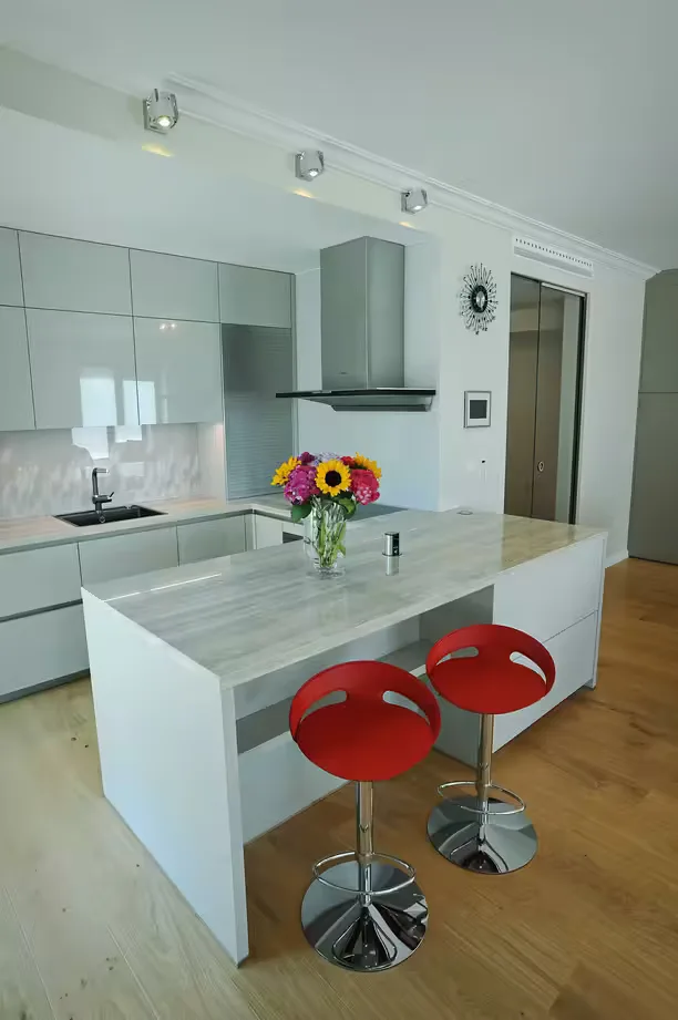Kitchen Schüller C · Praha 6 - 2016 · high-gloss lacquer — photograph 7
